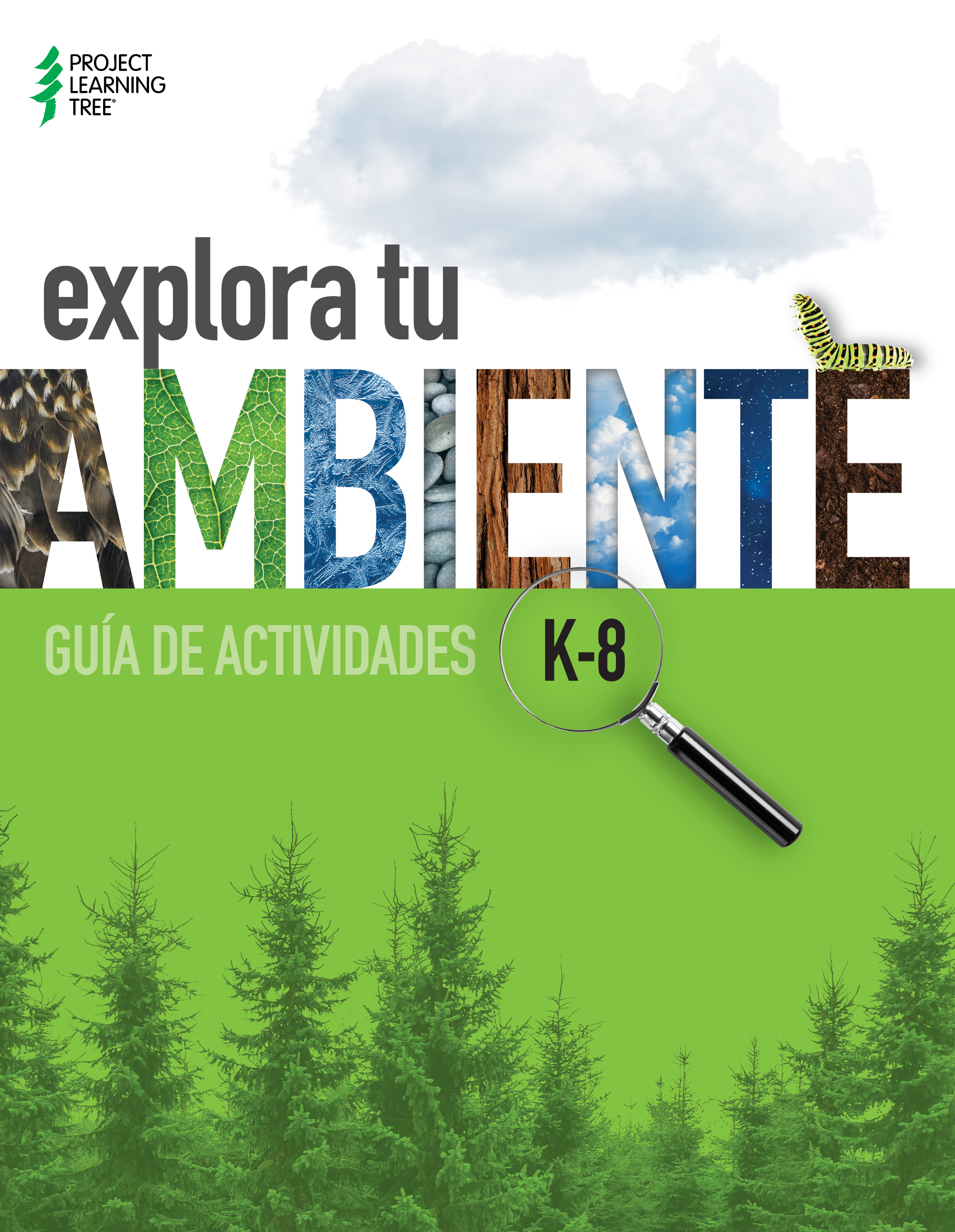 Explora tu Ambiente: Guía de Actividades K-8 